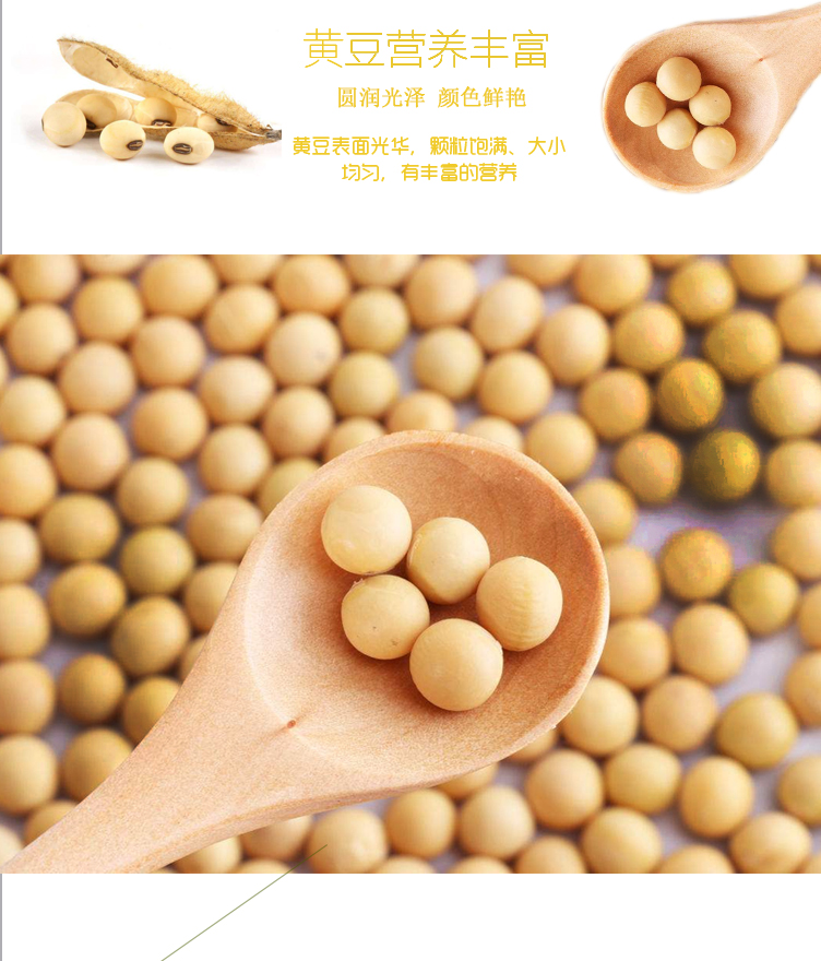 黃豆詳情頁(yè)_03.jpg