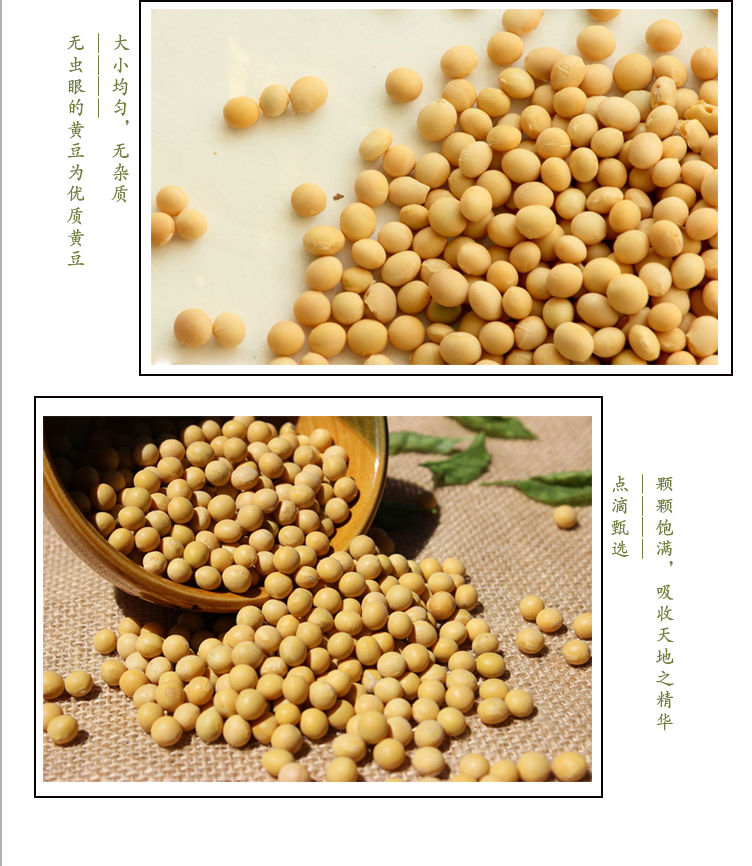 黃豆詳情頁(yè)_05.jpg