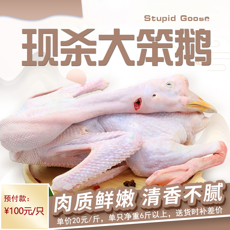 預(yù)定農(nóng)家笨大鵝  6斤以上
