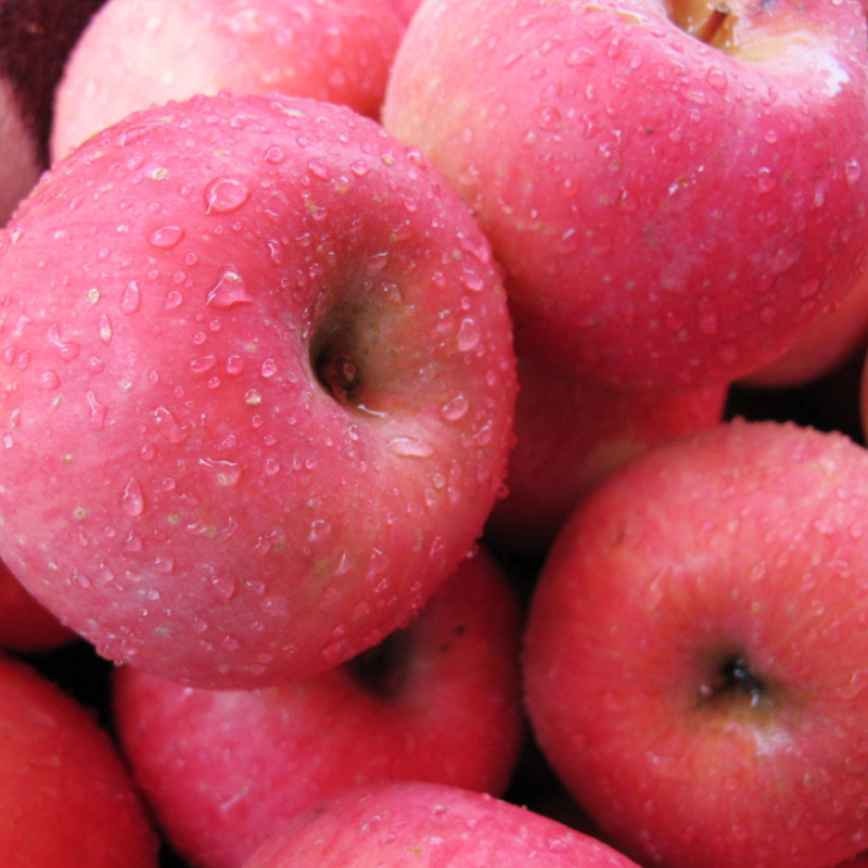 綠色食品級(jí)蘋(píng)果500g